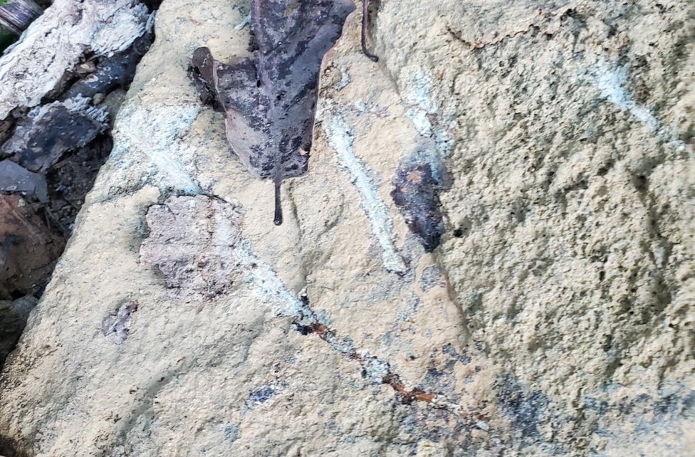 A photograph of a rock with several scratches.