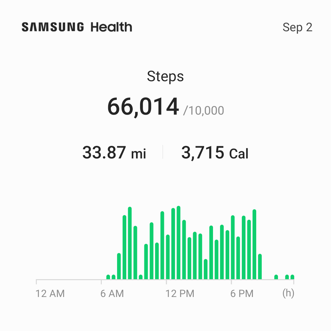 Screenshot showing map of recorded steps.